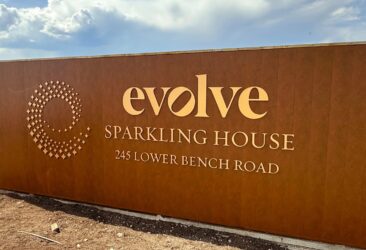 Evolve Logo lettering